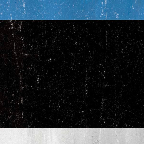 Estonia Flag Distressed iPhone XR Skin